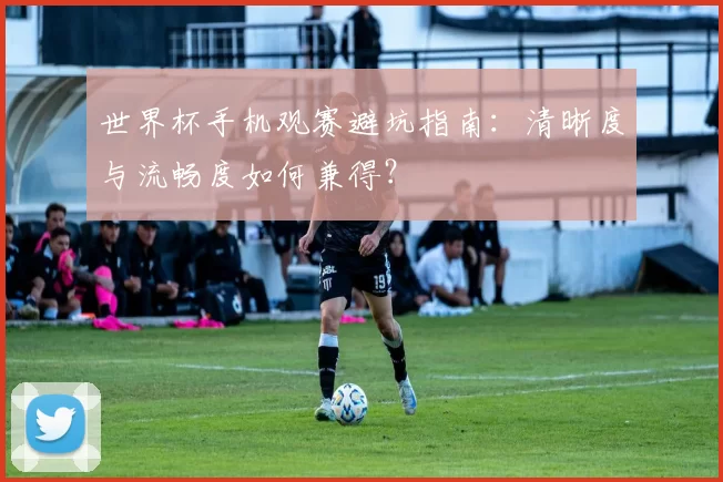 世界杯手机观赛避坑指南：清晰度与流畅度如何兼得？