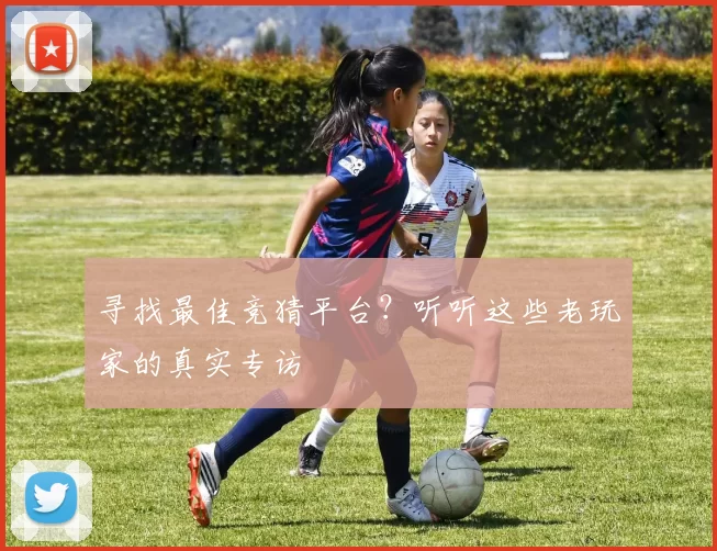 寻找最佳竞猜平台？听听这些老玩家的真实专访