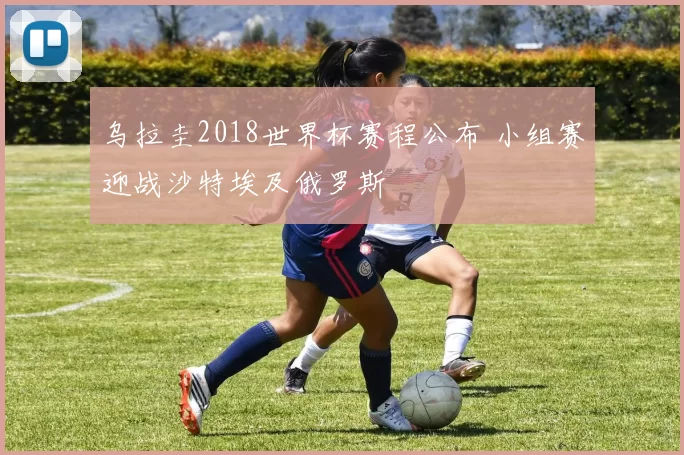 乌拉圭2018世界杯赛程公布 小组赛迎战沙特埃及俄罗斯
