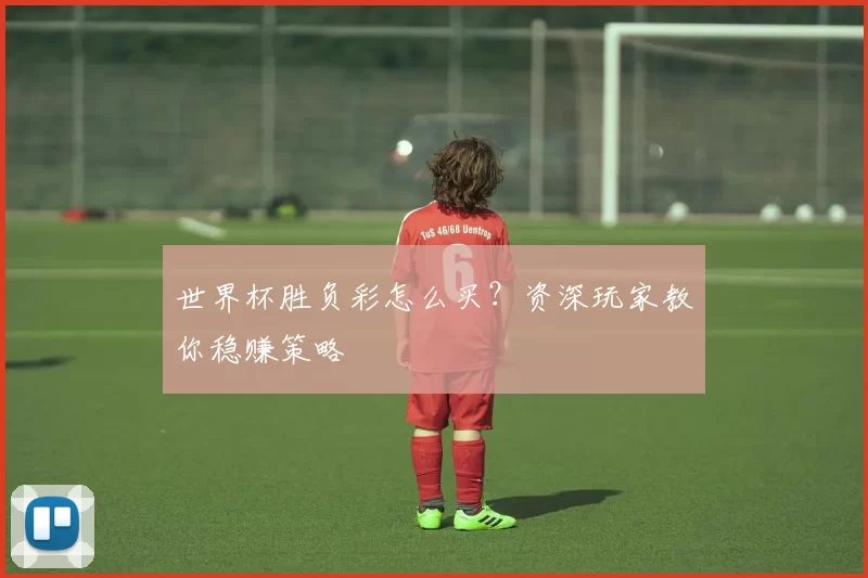 世界杯胜负彩怎么买?资深玩家教你稳赚策略