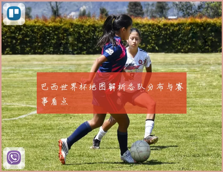 巴西世界杯地图解析各队分布与赛事看点