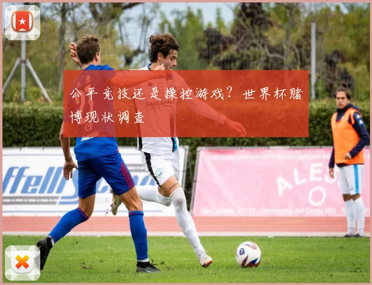 公平竞技还是操控游戏?世界杯赌博现状调查