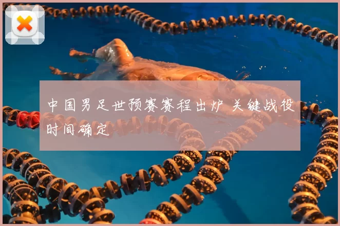 中国男足世预赛赛程出炉 关键战役时间确定