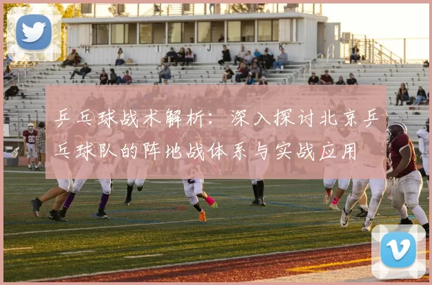 乒乓球战术解析:深入探讨北京乒乓球队的阵地战体系与实战应用