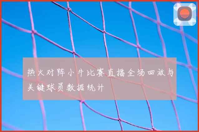热火对阵小牛比赛直播全场回放与关键球员数据统计