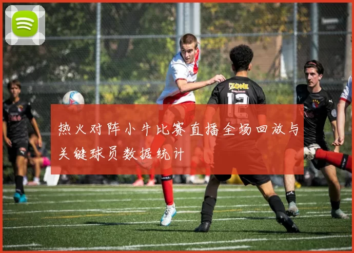 热火对阵小牛比赛直播全场回放与关键球员数据统计