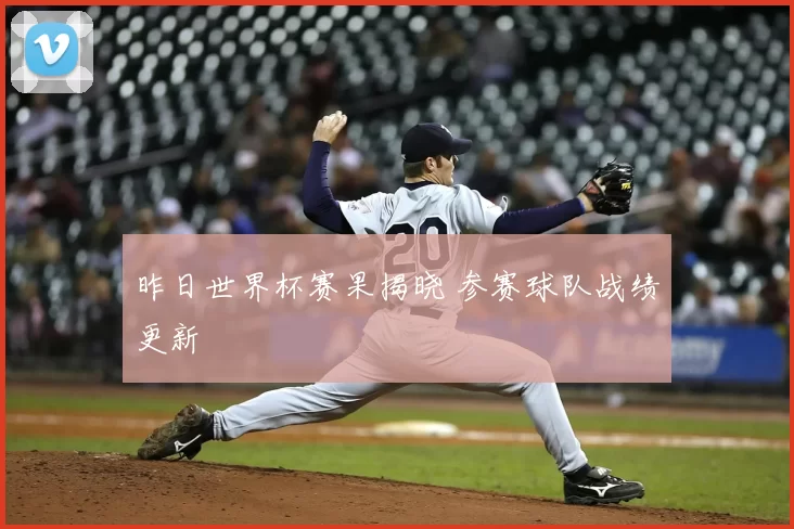 昨日世界杯赛果揭晓 参赛球队战绩更新